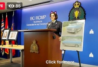 Polícia canadense se desculpa após transmitir coletiva de imprensa com filtro de gatinho ativado