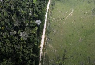 Sem licença ambiental, Bolsonaro quer pavimentar rodovia na Amazônia