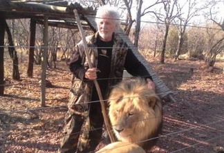Homem é atacado e morto por leões que criava em cativeiro