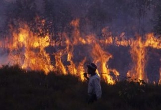 QUEIMADAS: A África arde ainda mais do que a Amazônia: VEJA VÍDEO