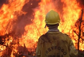 DIA DO FOGO: Ibama foi alertado três dias antes das queimadas na Amazônia, mas aviso foi ignorado