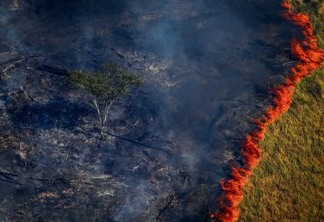 Polícia identifica suspeitos de provocar queimadas na Amazônia