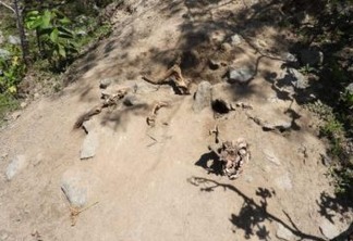 APÓS DENÚNCIA: Ministério Público encontra 'cemitério de animais' em Queimadas