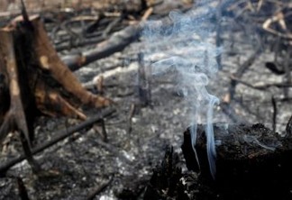 Bolsonaro diz que serviço europeu vai monitorar queimadas