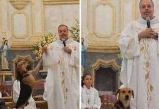 Padre salva cachorros, cuida e os leva nas missas para serem adotados