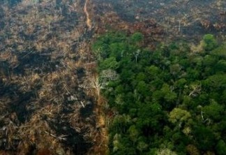 PESQUISA DATAFOLHA: para 75% dos brasileiros, a Amazônia está em risco por causa dos incêndios