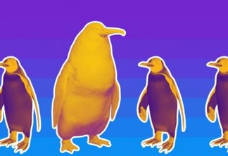 Fóssil de pinguim gigante é descoberto na Nova Zelândia
