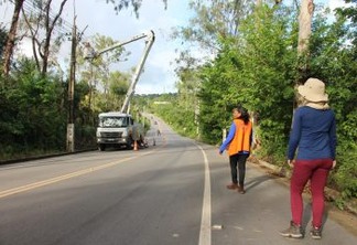 Serviços de poda e supressão de árvores na rodovia dos Tabajaras em Conde iniciam nesta quarta