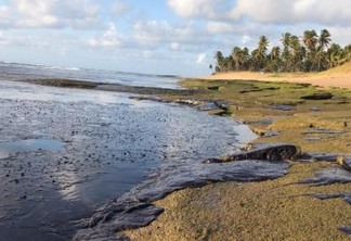 Praia do Forte Bahia 19 10 2019-toneladas de óleo na praia do Forte no litoral baiano-foto  Instituto Bioma Brasil