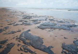 Polícia Federal apura possível crime ambiental em litoral brasileiro