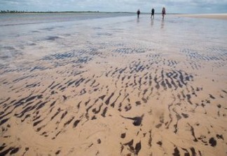 MPF na Paraíba pede que Justiça obrigue Governo Federal a acionar plano contra óleo nas praias