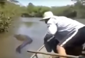 Pescador registra cobra medindo quase 3 andares em floresta amazônica - VEJA VÍDEO