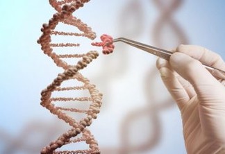 Nova técnica de edição de DNA poderá curar até '89% das doenças genéticas' no futuro