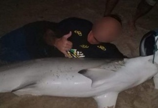 Pescadores capturam tubarão em praia do Litoral Sul da Paraíba e se exibem com fotos ao lado do animal