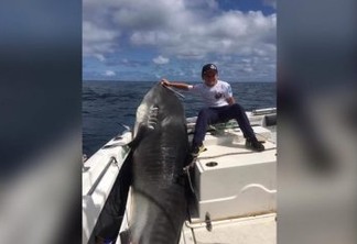 Garoto de 8 anos captura tubarão de 314 kg