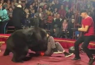 Urso ataca adestrador durante apresentação em circo; VEJA VÍDEO