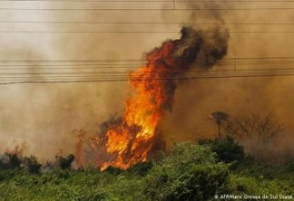Após 13 dias de incêndio, bombeiros controlam fogo no Pantanal