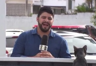 Repórter paraibano ganha manchete nacional após ter gravação interrompida por um 'gatinho fofo'