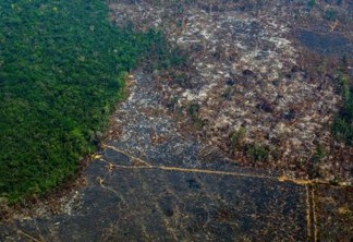 Amazônia perde 9.700 quilômetros quadrados em um ano, maior desmatamento da década