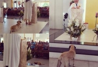 Cãozinho participa de missa na Capital e rouba a cena durante celebração