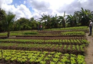 Agricultores de Sapé usam energia solar e economiza 95% na conta de luz