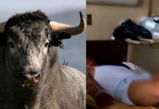 Homem é submetido a cirurgia após tomar viagra para touros