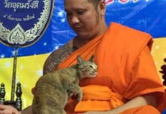 Monge tenta não rir após gato interromper meditação; VEJA VÍDEO