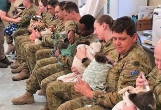 Soldados australianos usam hora de descanso para amamentar coalas