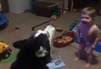 Garotinho de apenas dois anos compete com cão para ver quem uiva mais alto e cai no riso