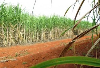Tecnologia brasileira produz etanol a partir do bagaço da cana