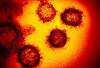 Nem China nem EUA: coronavírus não foi criado em laboratório, mostra estudo 