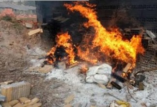 Polícia Civil incinera mais de meia tonelada de drogas ilícitas em Campina Grande