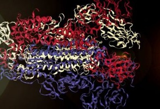 Cientistas transformaram a estrutura do coronavírus em música - OUÇA