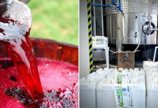 Mais de 40 mil litros de vinho serão transformados em álcool para combater o novo coronavírus