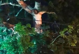 Imagem de 'Jesus' em árvore faz fiéis saírem da quarentena - VEJA VÍDEO