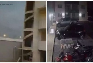 Meteoro cai em Minas após explodir na madrugada: ‘As janelas e o portão tremeram’ - VEJA VÍDEO