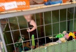 Três são presos por manter criança de 1 ano em jaula próxima a cobras