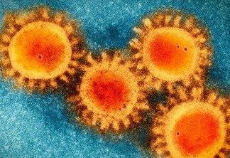 Estudo da UFPB aponta 19 substâncias naturais com potencial anticoronavírus