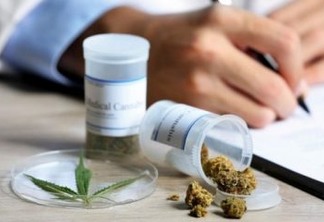 Após dois adiamentos, comissão tenta votar nesta terça projeto sobre cultivo de Cannabis para fins medicinais