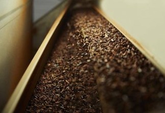NEVE DE CACAU: fenômeno foi causado por um falha em fábrica de chocolate