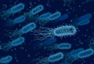 Bactéria vazada: Acidente em laboratório contamina mais de 3.000 pessoas na China