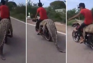 Traficante de animais selvagens leva crocodilo de 2,5 metros em moto; VEJA VÍDEO