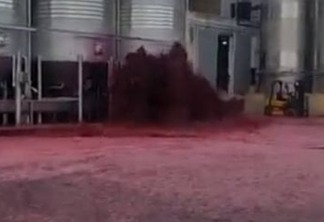 Vazamento em tanque causa "mar de vinho" na Espanha - VEJA VÍDEO