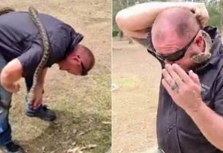 Homem é picado no rosto por cobra durante live