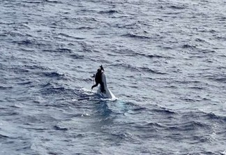 Homem é encontrado em alto mar agarrado ao casco de seu barco um dia após naufragar na costa da Flórida; veja imagens