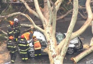 Mãe morre na frente dos filhos após árvore cair sobre carro de família