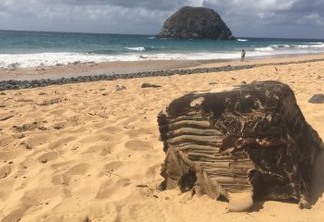 Caixa misteriosa volta a ser encontrada em praia do Nordeste após mais de um ano
