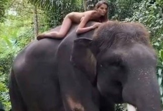 Filha de ex-número 1 do tênis, influencer é criticada por posar nua sobre elefante ameaçado de extinção