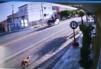 NA PARAÍBA: Carro atropela mulher montada em cavalo que atravessava a rua - VEJA VÍDEO