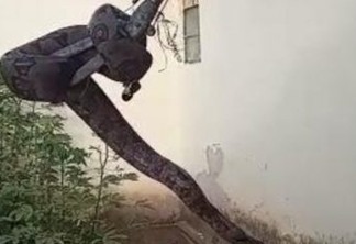 SUSTO: serpente de 2,5 metros é encontrada em telhado de casa